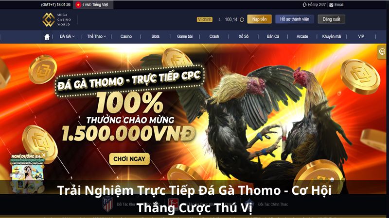 trai-nghiem-truc-tiep-da-ga-thomo-co-hoi-thang-cuoc-thu-vi